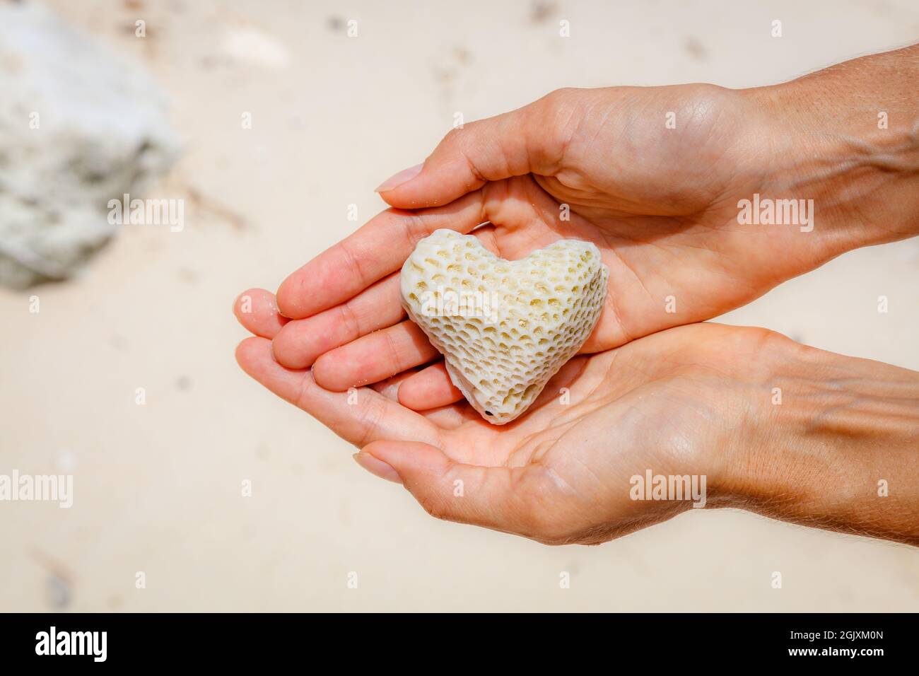 Corail en forme de coeur dans le sable au bord de l'arrière-plan. L'île de Boracay, Philippines. Concept d'aires marines de conservation et la protection des océans. Avec l'espace. Banque D'Images
