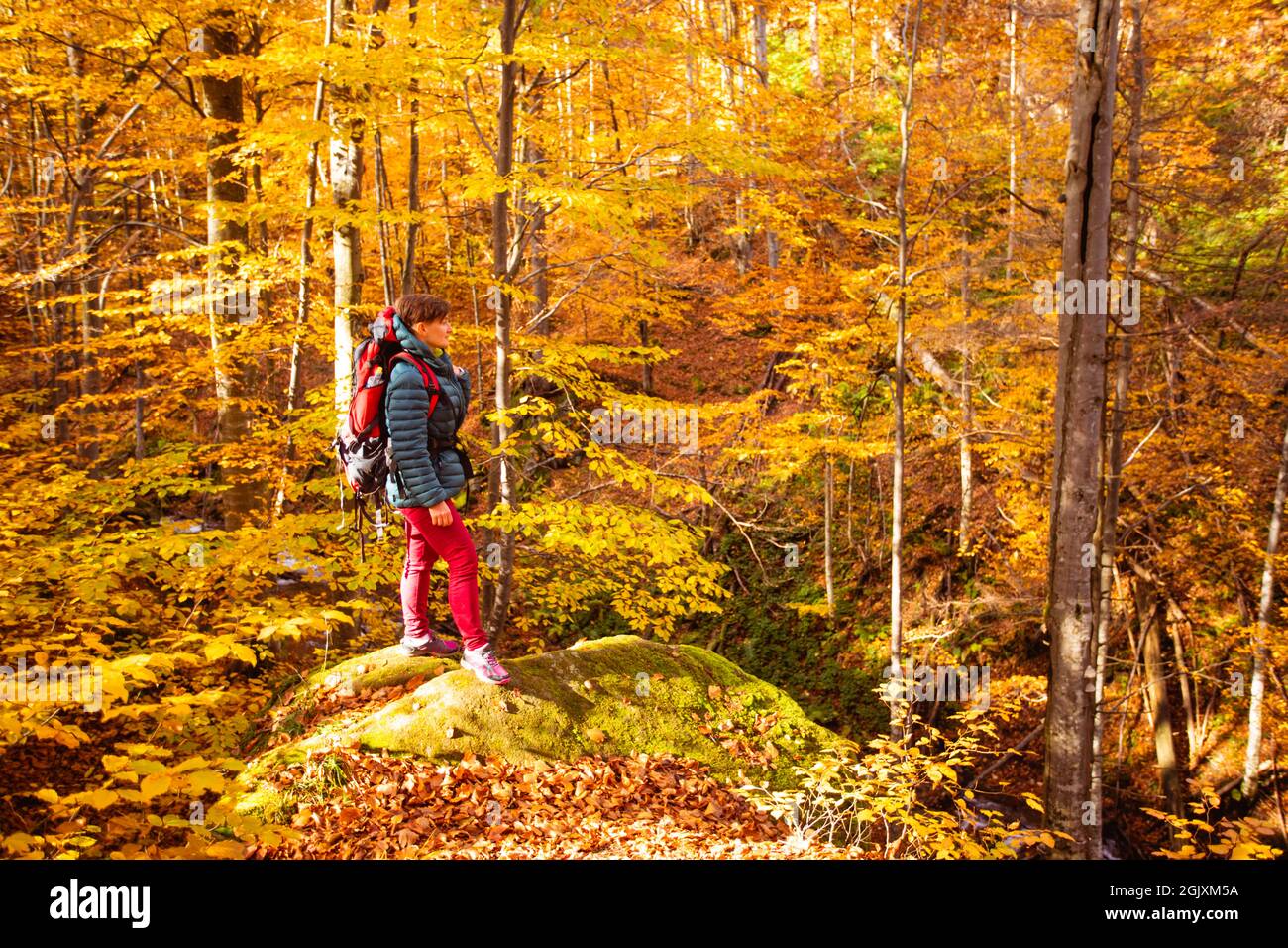 Femme est debout sur la grande pierre dans la forêt d'automne Banque D'Images