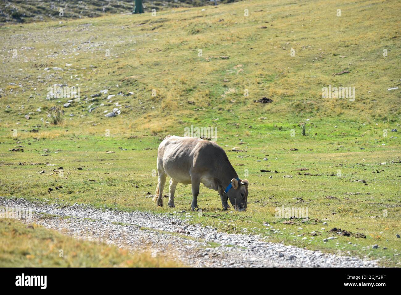 La molina Cataluña España, paisajes de los pirineos de Cataluña Banque D'Images