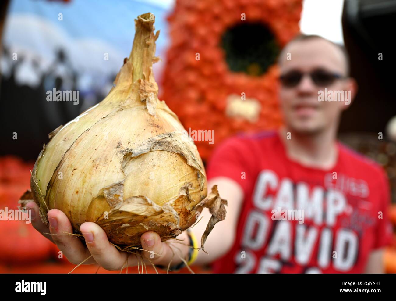 Klaistow, Allemagne. 12 septembre 2021. Marvin Reimer, producteur de légumes, vainqueur dans la catégorie oignon, présente son oignon pesant plus de 1.6 kilos au 9e championnat allemand de culture de légumes géants à la ferme Klaistow aspergus. De nombreux producteurs de la région se sont disputés le titre de « légume le plus lourd » dans sept catégories au total : tomate, oignon, chou, carotte, Kohlrabi, Betterave et Zucchini. Credit: Monika Skolimowska/dpa-Zentralbild/dpa/Alay Live News Banque D'Images