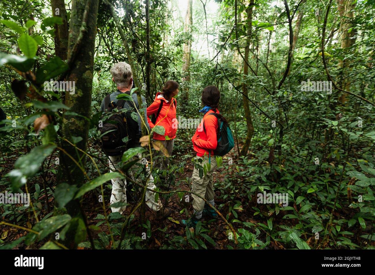 Touristes se tenant à la forêt tropicale Banque D'Images