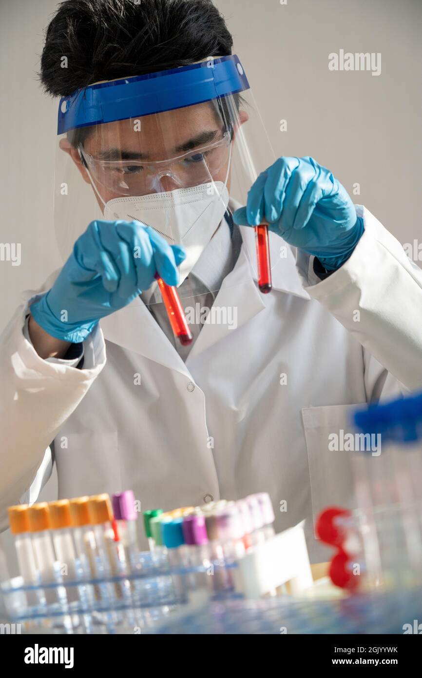Technicien de laboratoire effectuant des analyses de sang en laboratoire. Banque D'Images