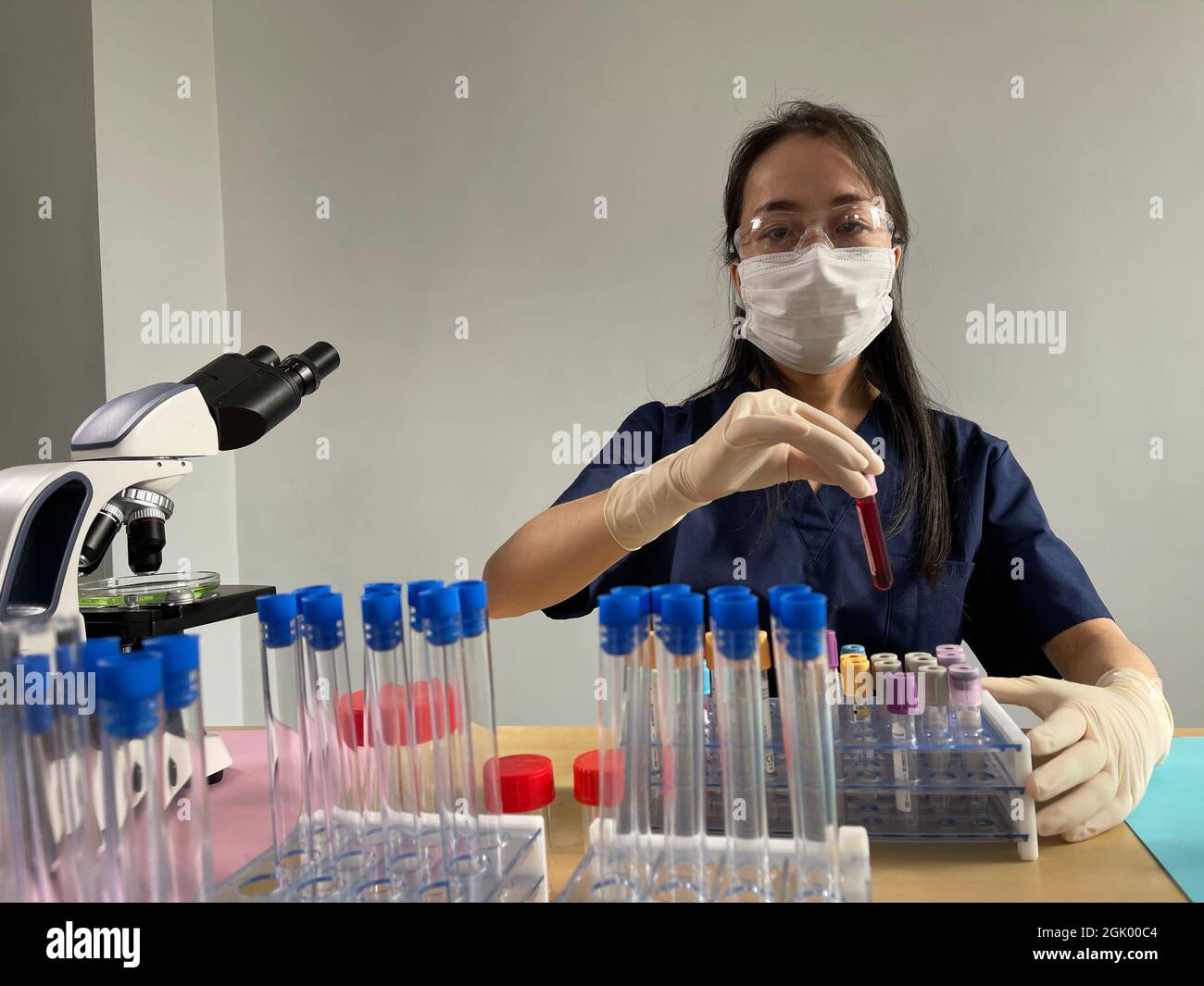 Le test sérologique est effectué avec un test sanguin pour rechercher la présence d'anticorps contre le virus Banque D'Images