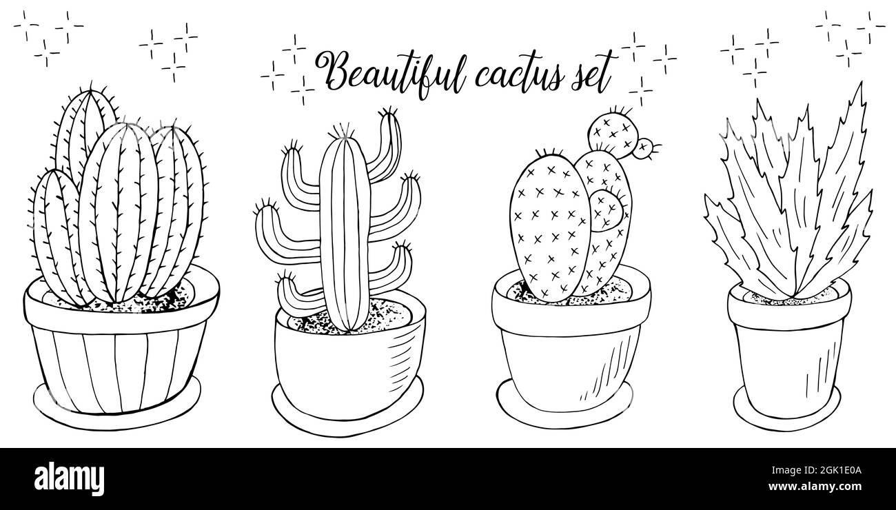 Illustration vectorielle mignonne. Ensemble d'images de dessins animés de cactus dans des pots de fleurs. Cactus, aloès, succulents. Collection créative. Éléments décoratifs monochromes Illustration de Vecteur