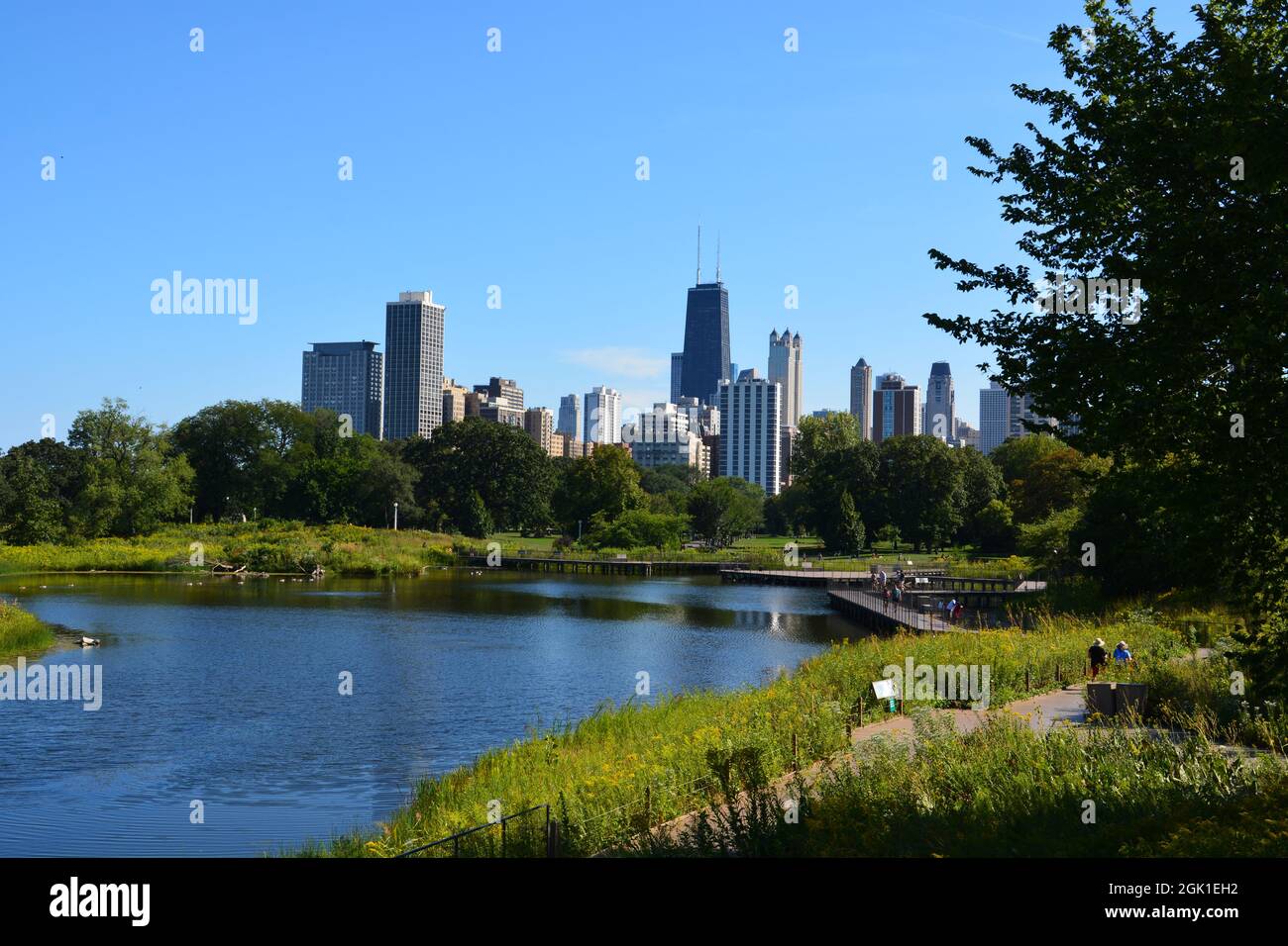 Vue sur la ligne d'horizon de Chicago depuis South Pond dans le quartier de Lincoln Park. Banque D'Images