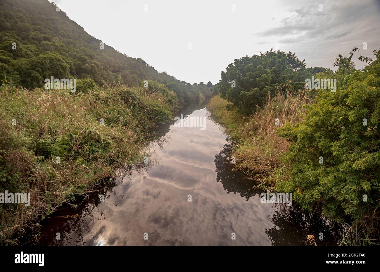 Paysage fluvial de la Touws River ou de la Touwsrivier à Wilderness sur la Garden route à Western Cape, Afrique du Sud. Banque D'Images