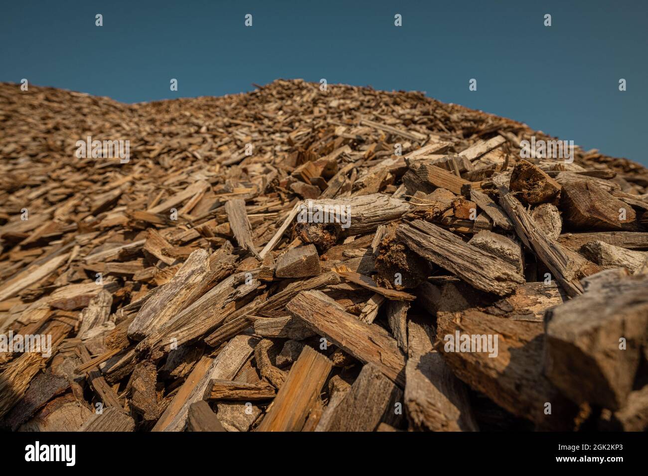 Résidus forestiers broyés comme copeaux de bois utilisés pour le chauffage. Pile de particules de copeaux de bois pour chaudière à biomasse, vue de dessous. Banque D'Images