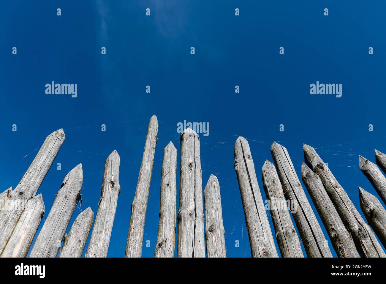 La palissade est sous le ciel bleu. La construction typique d'une ancienne clôture se composait de troncs d'arbres de petite ou moyenne taille pointés vers le haut et alignés verticalement, Banque D'Images