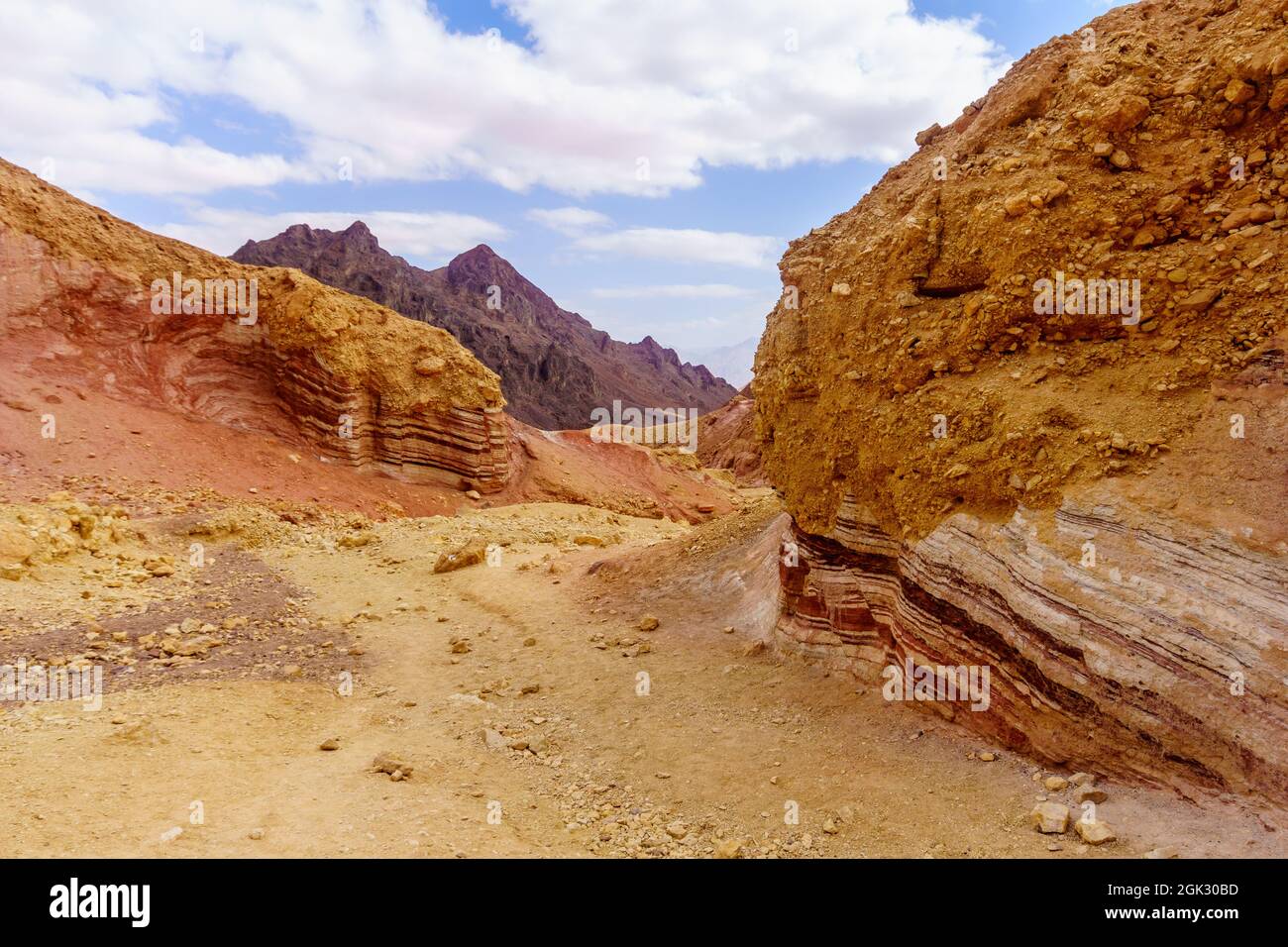 Vue sur Nahal Amram (vallée du désert) et le désert d'Arava, sud d'Israël Banque D'Images