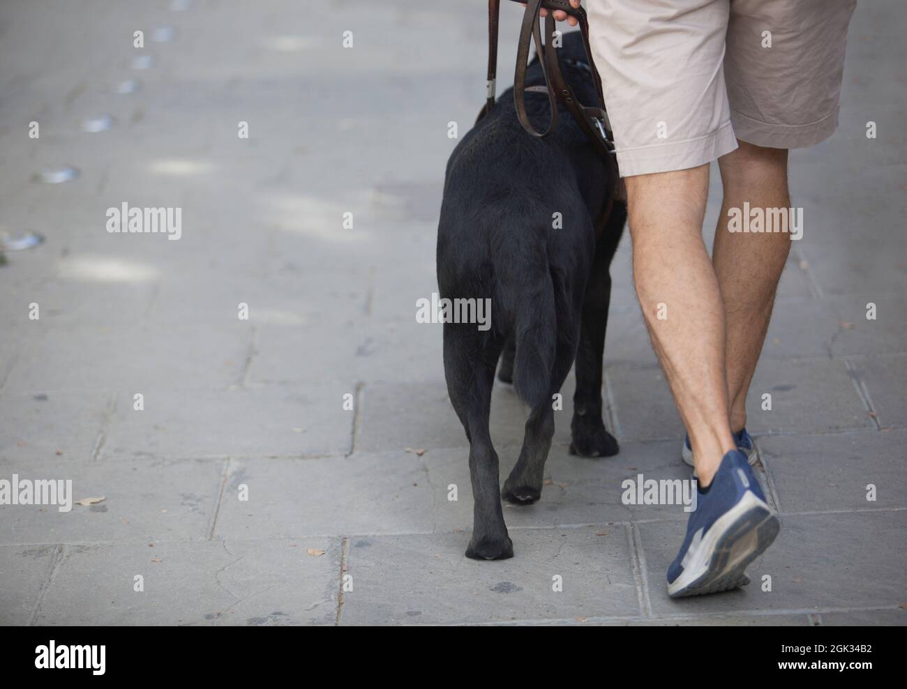 Jeune aveugle marchant avec un guide de chien noir. Mise au point sélective Banque D'Images