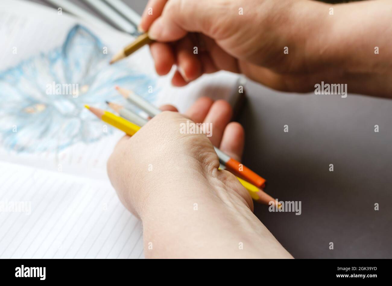Une femme dessine un chat dans des crayons de couleur sur les pages d'un d ouvert Banque D'Images