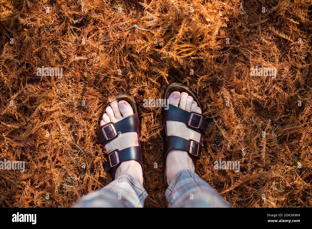 Sandales Birkenstock de marque allemande contre les feuilles d'automne  Photo Stock - Alamy