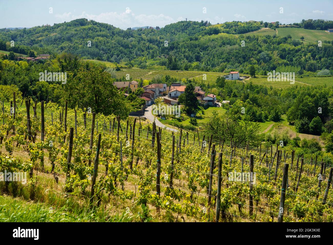 Paysage rural au printemps à Monferrato près de Rivalta Bormida, province d'Alessandria, Piémont, Italie, site du patrimoine mondial de l'UNESCO. Banque D'Images