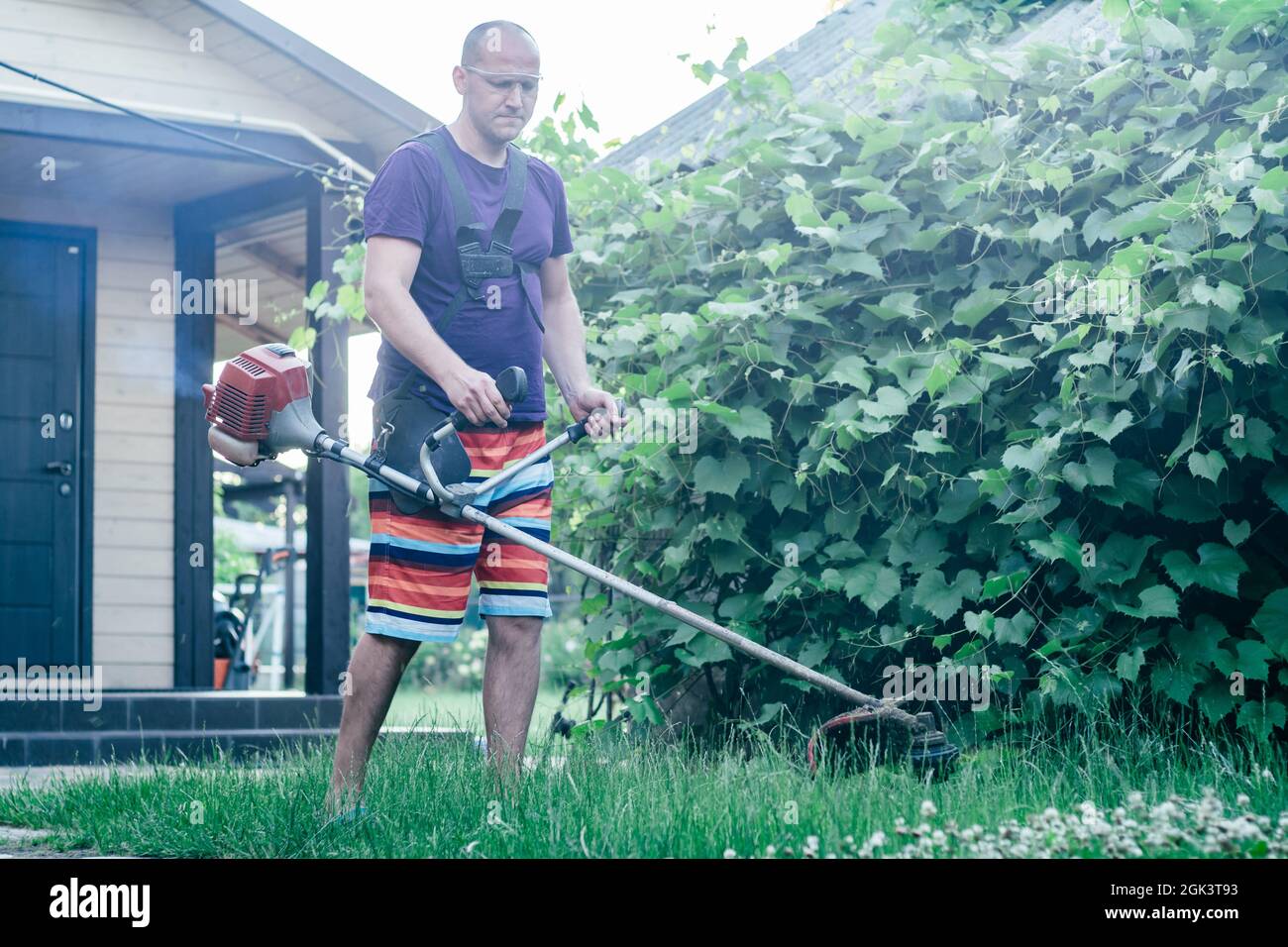 Homme dans des lunettes, short et T-shirt tond la pelouse avec coupe-herbe contre le fond du vignoble et l'entrée à la maison Banque D'Images