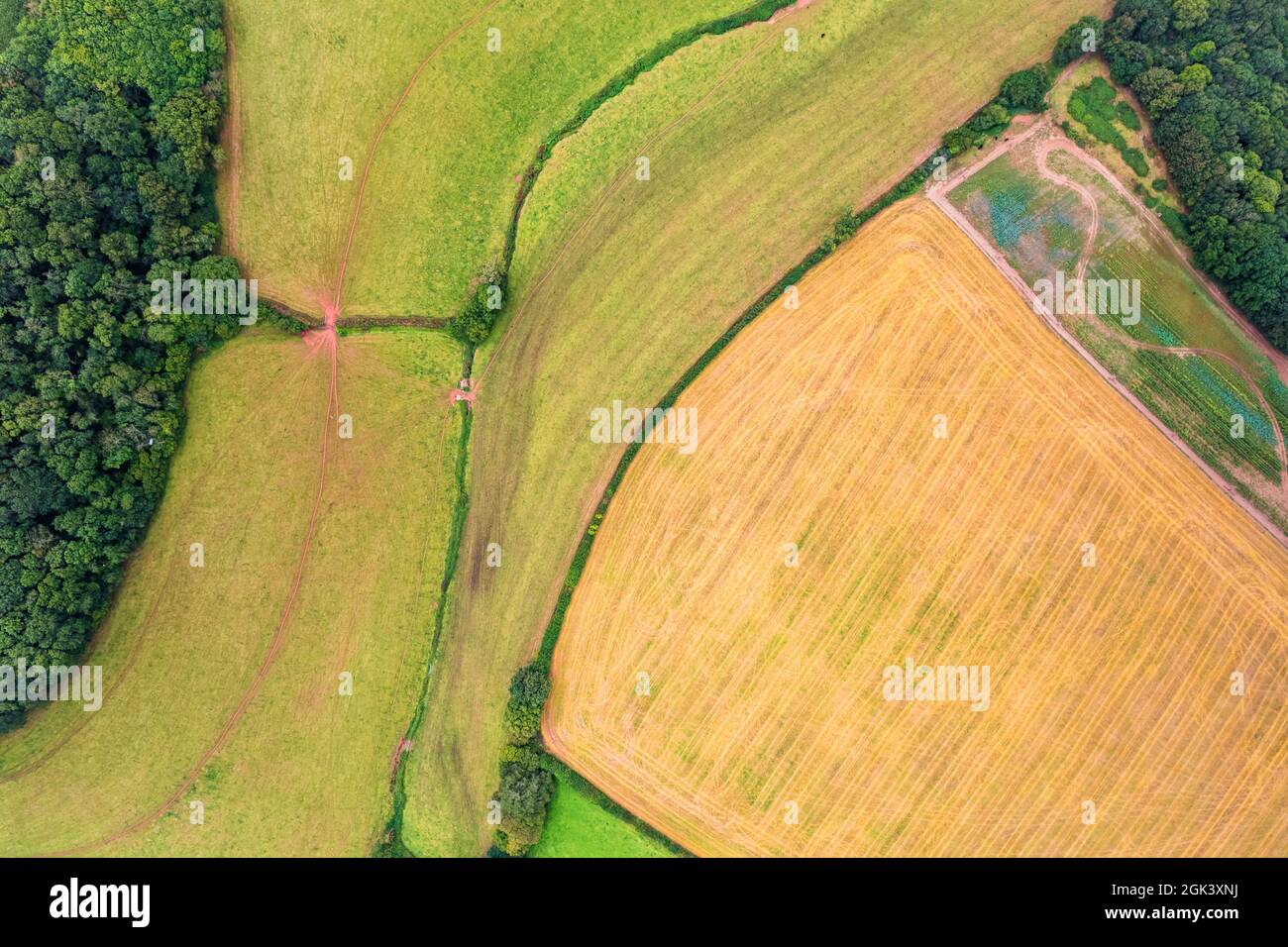 Photographie de drone - champs et prairies au-dessus de Torbay, Torquay, Devon, Angleterre, Europe Banque D'Images