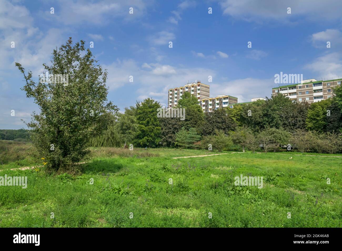 Ehemaliger Mauerstreifen, bande de Grünes, Falkenseer Chaussee, Falkenhagener Feld, Spandau, Berlin, Allemagne Banque D'Images