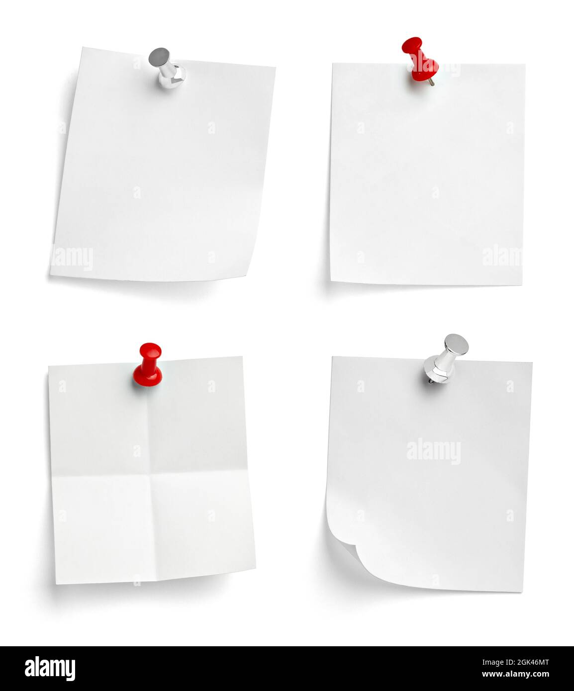 notez le message « punaise » sur papier rouge blanc noir Banque D'Images