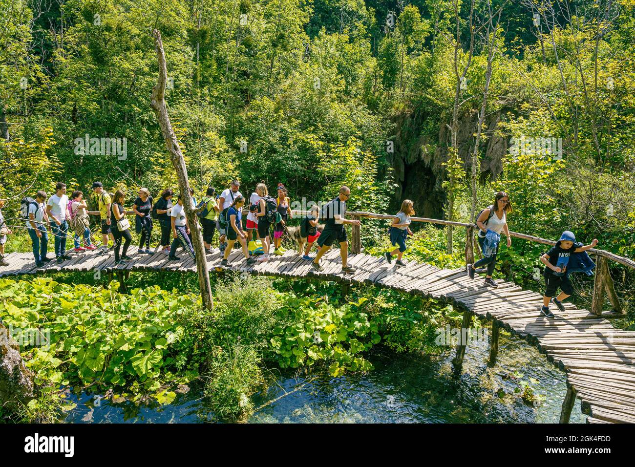 Le parc national des lacs de Plitviče est une célèbre réserve forestière du centre de la Croatie. Il est connu pour une chaîne de 16 lacs en terrasse, joints par des cascades, que par exemple Banque D'Images