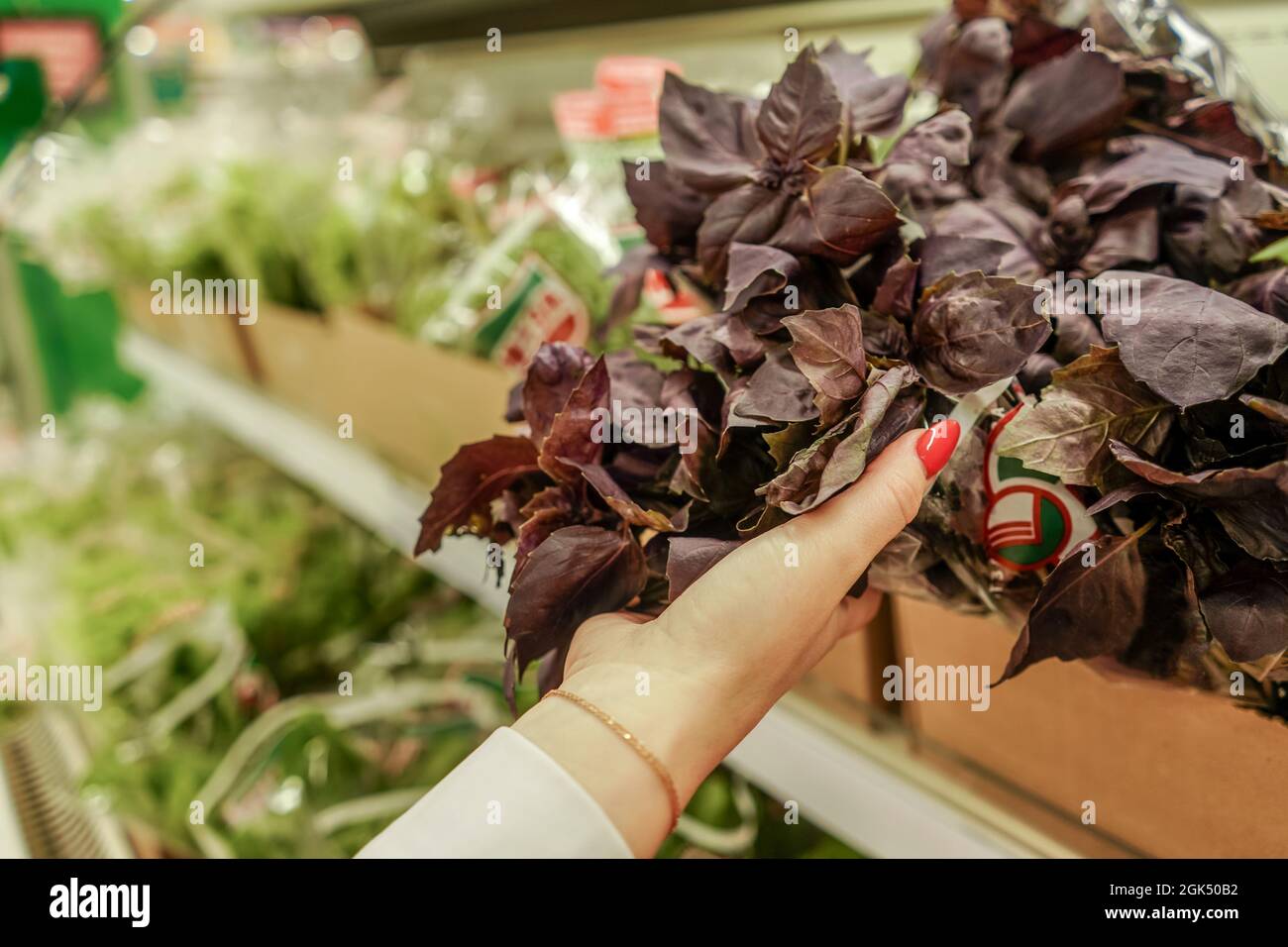 Les mains de femmes dans un supermarché à l'étagère pour les verts, la femme vérifie le basilic. Banque D'Images