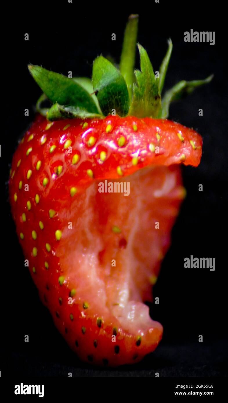 Une fraise fraîche avec un morceau sorti, montrant l'intérieur du fruit - placé sur un fond noir Banque D'Images