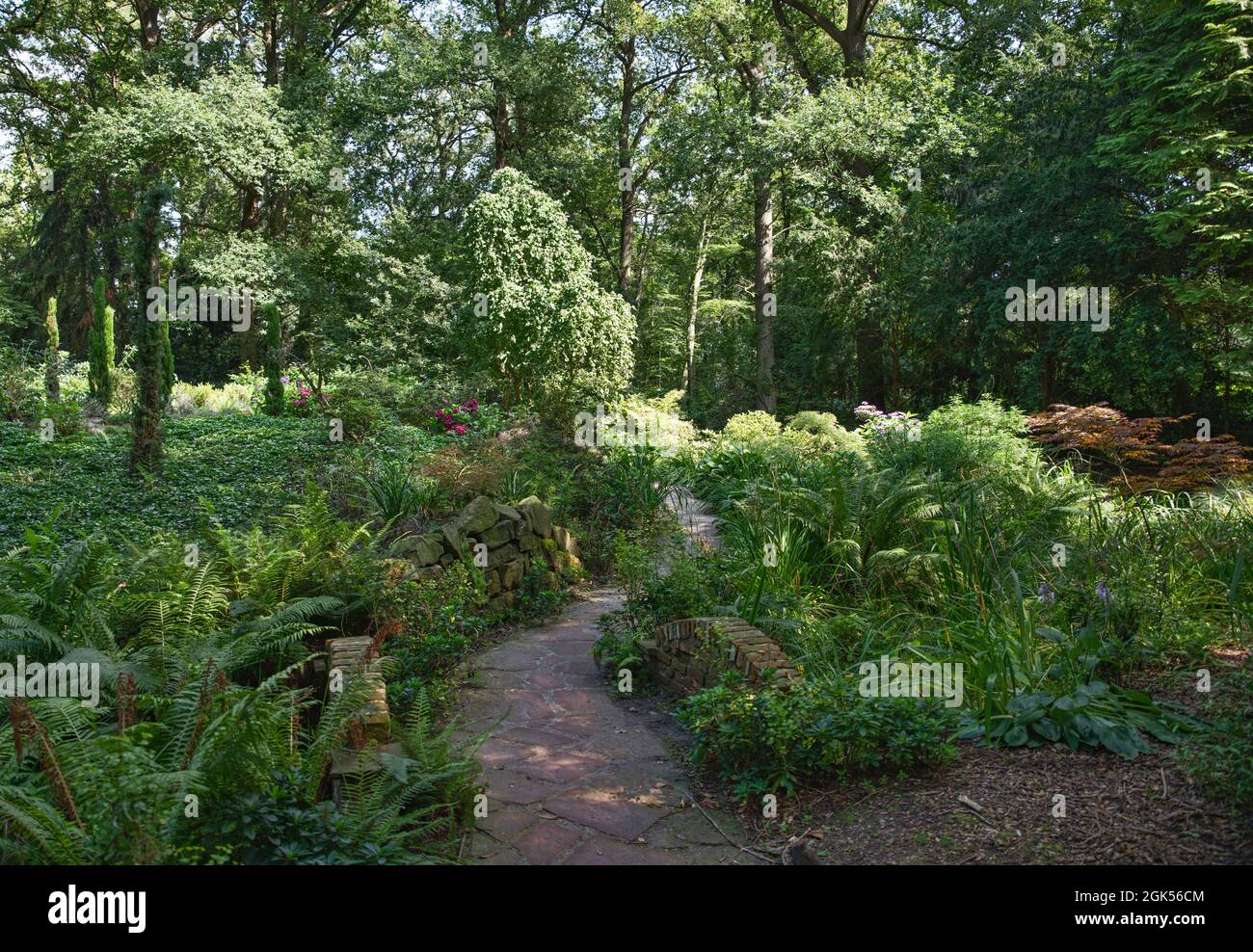 jardin anglais vert avec plantes et arbres Banque D'Images