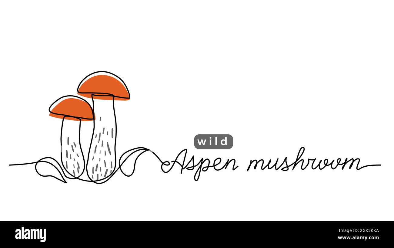 Illustration d'une ligne vectorielle simple de champignon sauvage Aspen. Dessin d'une ligne avec des champignons de peuplier faux-tremble Illustration de Vecteur