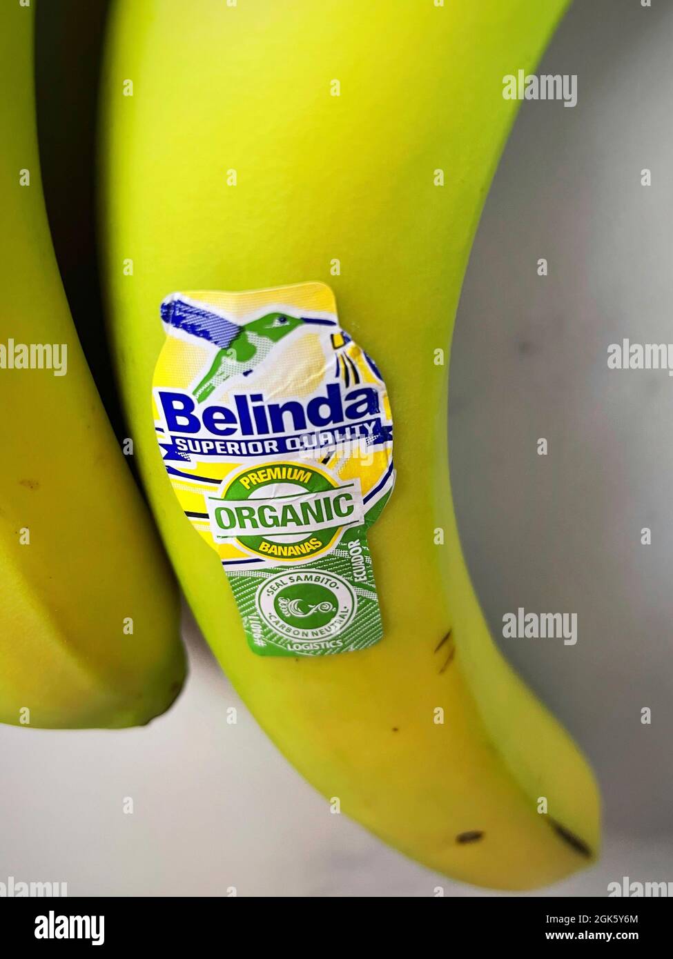Gros plan de la marque Belinda Organic Banana, États-Unis Banque D'Images