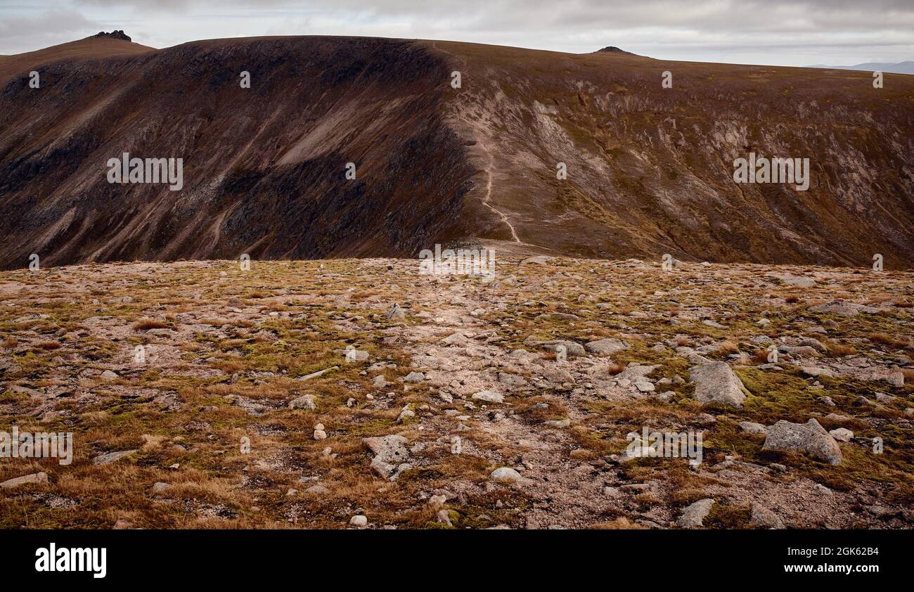 Paysage sauvage de Cairngorm Banque D'Images