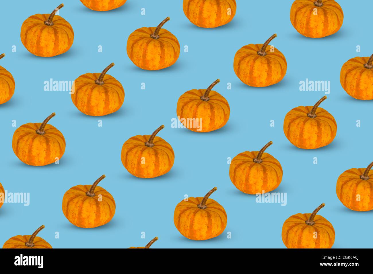 Motif coloré de citrouilles orange sur fond bleu. Concept de saison automne, Halloween ou Thanksgiving. Banque D'Images