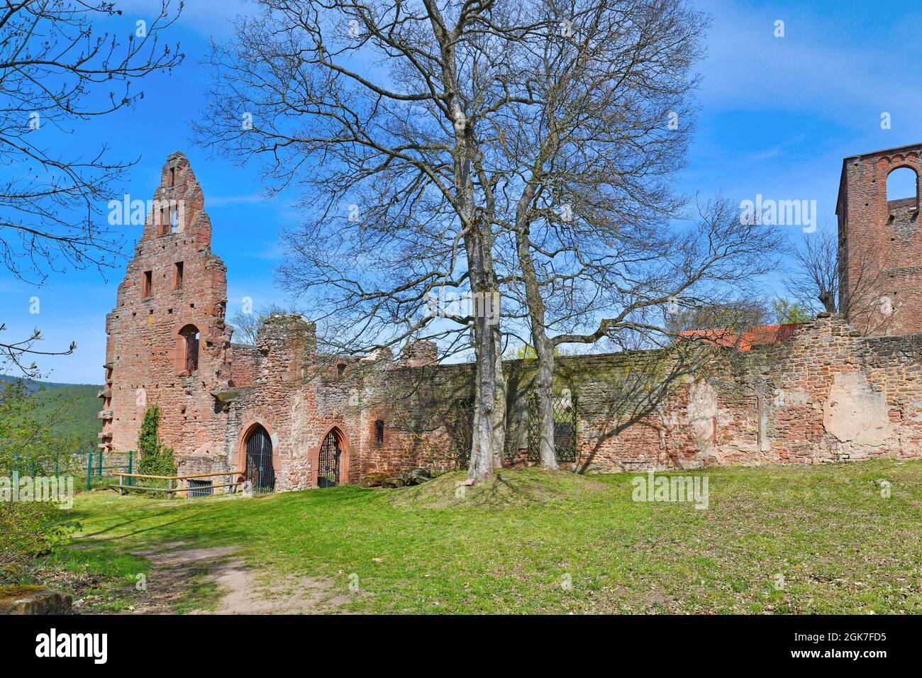 Ruine de l'abbaye historique de Limbourg dans la forêt du Palatinat en Allemagne Banque D'Images