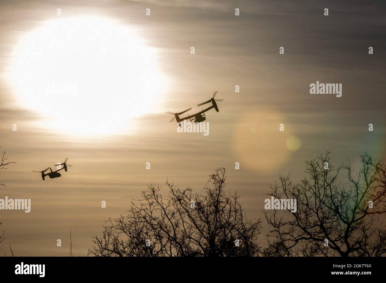 Deux Ospreys MV-22B survolent une ligne d'arbres dans la zone d'entraînement de Bradshaw Field, territoire du Nord, Australie, le 29 août 2021. Les MV-22B Osprey transportaient des soldats américains des Marines et de l'armée australienne à un point objectif pour une attaque aérienne pour l'exercice Koolendong. L’exercice Koolendong valide la capacité de Darwin et de l’Australian Defence Force à mener des opérations de commandement et de contrôle expéditionnaires, démontrant l’engagement commun de se préparer à réagir à une crise ou à une éventualité dans la région Indo-Pacifique. Banque D'Images