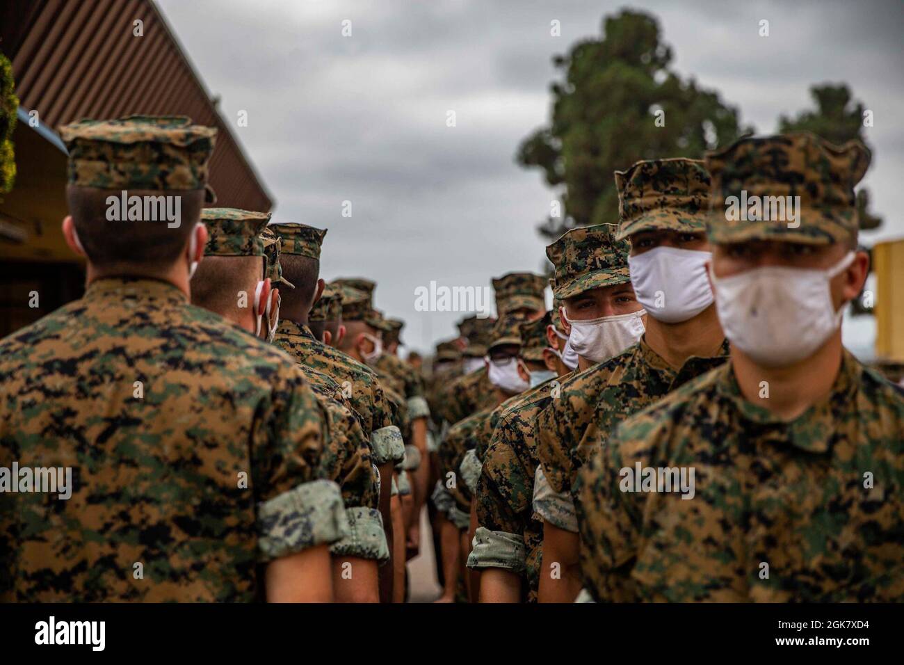 Recrute avec Bravo Company, 1er Bataillon d'entraînement des recrues, attente en ligne au dépôt des recrues du corps des Marines, San Diego, 31 août 2021. Les recrues attendaient à l'extérieur du bâtiment jusqu'à ce qu'il y ait assez de place à l'intérieur. En attendant leur coupe de cheveux, les recrues ont passé leurs connaissances de Marine corps. Banque D'Images