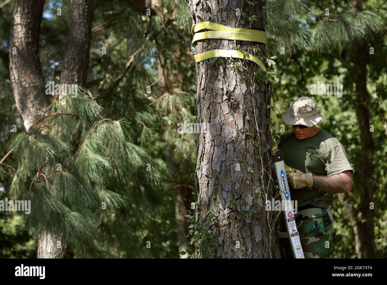 Un agent de la patrouille frontalière des États-Unis attache des sangles à un arbre qui a dû être enlevé en raison de sol ramolli par suite des inondations associées à l'ouragan Ida près de Baton Rouge, en Louisiane, le 31 août 2021. Banque D'Images