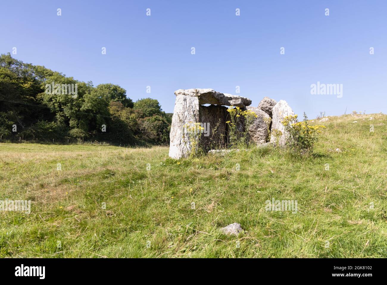 Llandudno, Conwy, Royaume-Uni, 7 septembre 2021 : pierres blanchies massives de Llety'r Filiast, chambre de sépulture néolithique debout dans un champ sur la Grande Orme. Banque D'Images