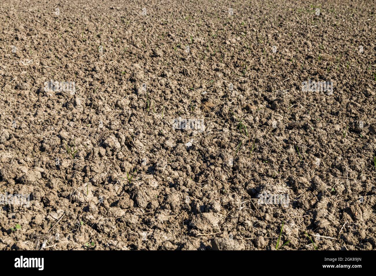 Terres agricoles récemment labourées et préparées pour la récolte Banque D'Images