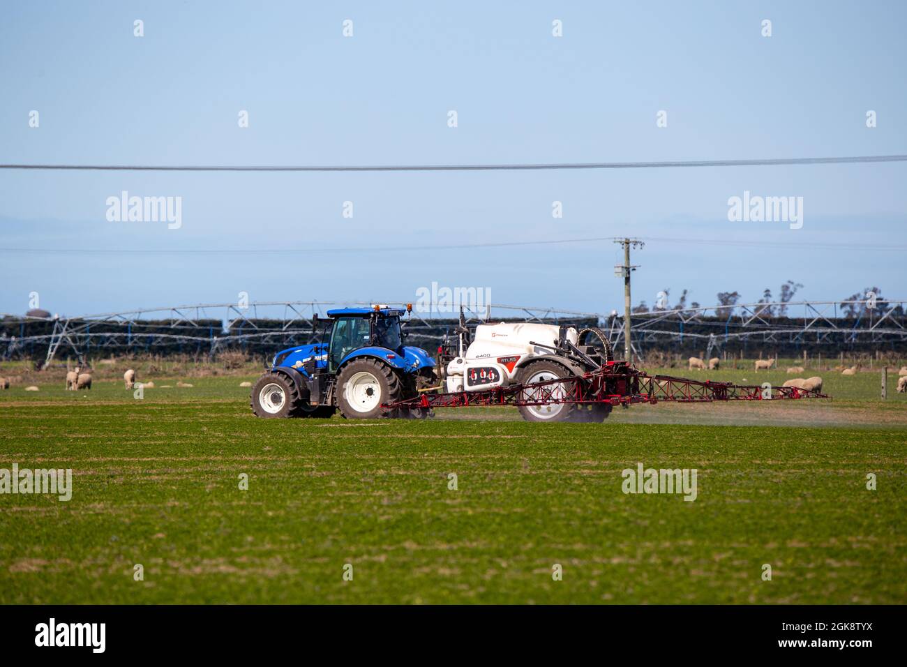 Canterbury, Nouvelle-Zélande, septembre 11 2021 : un tracteur New Holland équipé d'un pulvérisateur Atlas, pulvérise une récolte agricole au printemps Banque D'Images