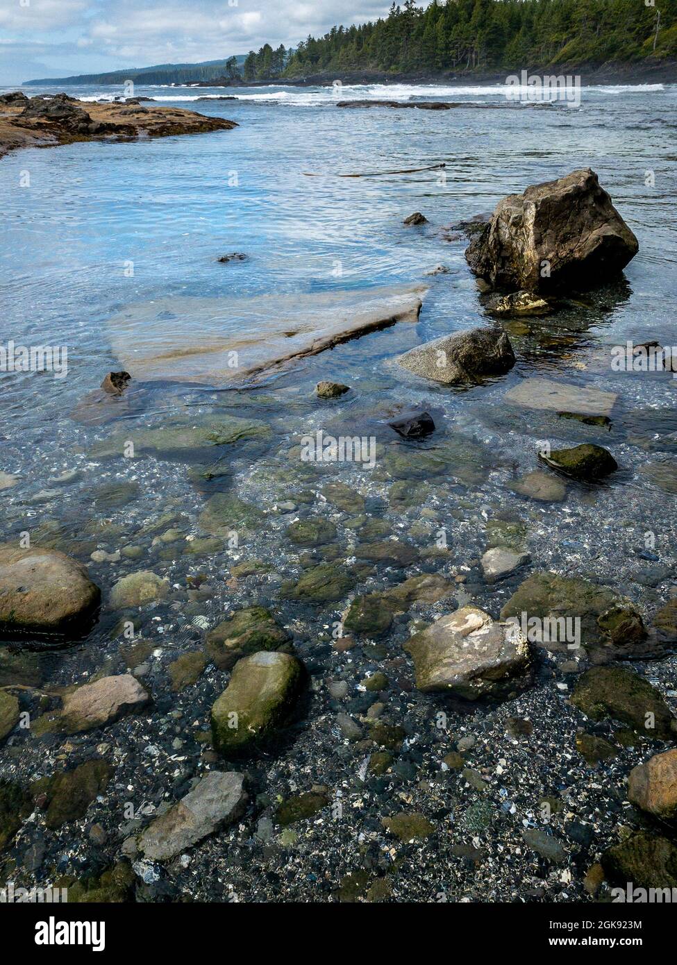Marée basse et eau claire lors d'une journée d'été ensoleillée à Botanical Beach, dans le parc provincial Juan de Fuca, sur la côte ouest de l'île de Vancouver, C.-B., Canada. Banque D'Images