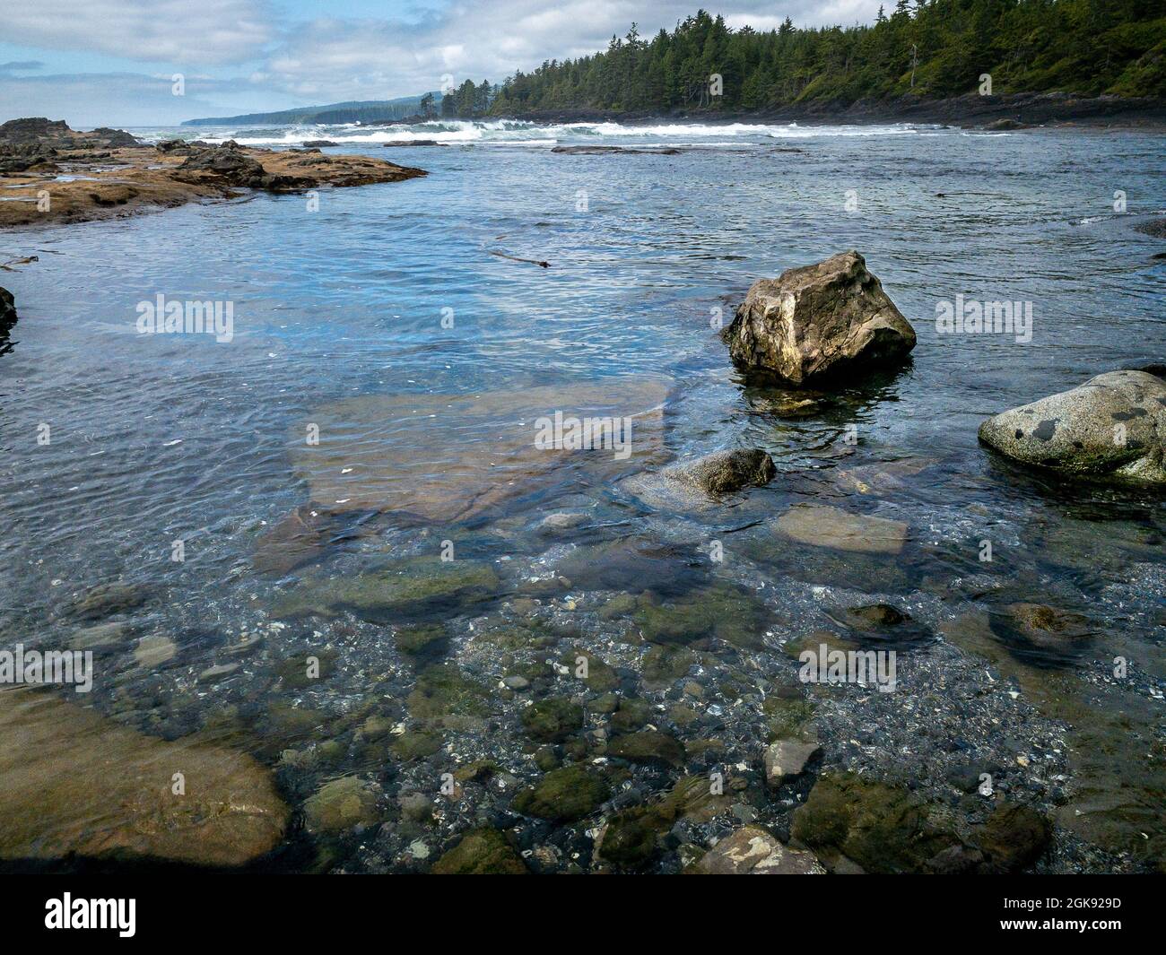 Marée basse et eau claire lors d'une journée d'été ensoleillée à Botanical Beach, dans le parc provincial Juan de Fuca, sur la côte ouest de l'île de Vancouver, C.-B., Canada. Banque D'Images