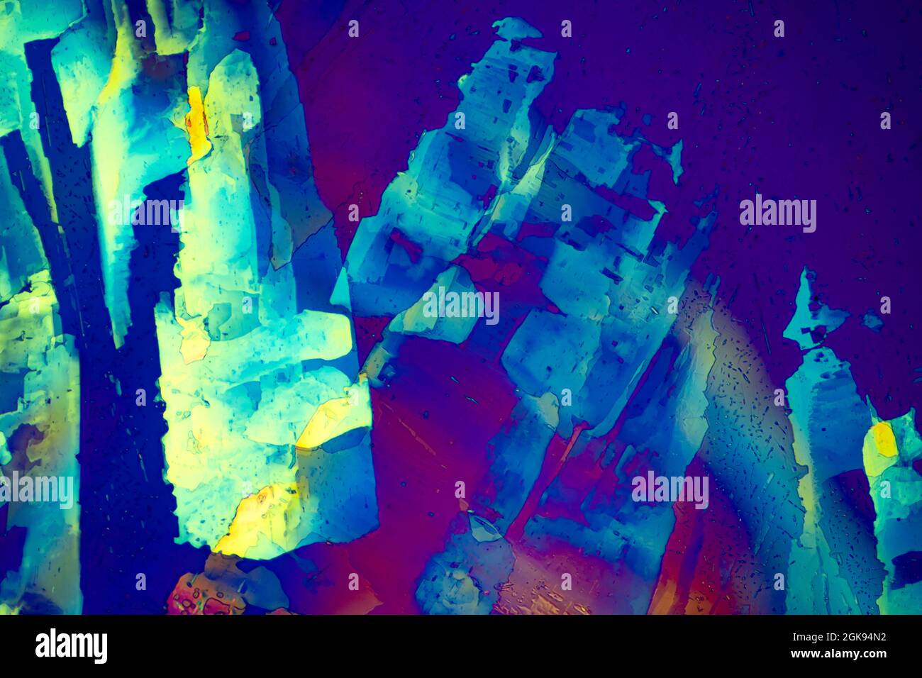 acide oxalique, en lumière polarisée Banque D'Images