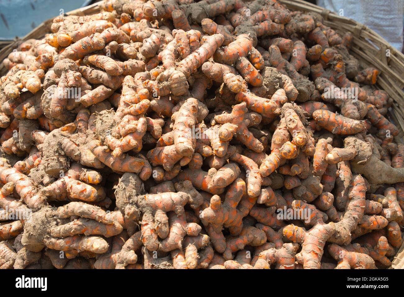 De nombreux gingers étaient emballés dans des paniers en bambou et prêts à être vendus aux consommateurs. Légumes nécessaires vendus quotidiennement dans la rue. Dhaka, Bangladesh. Novembre Banque D'Images