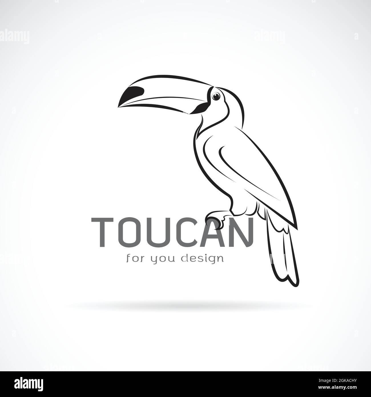 Vecteur du motif birb toucan sur fond blanc. Animaux sauvages. Illustration vectorielle superposée facile à modifier. Illustration de Vecteur