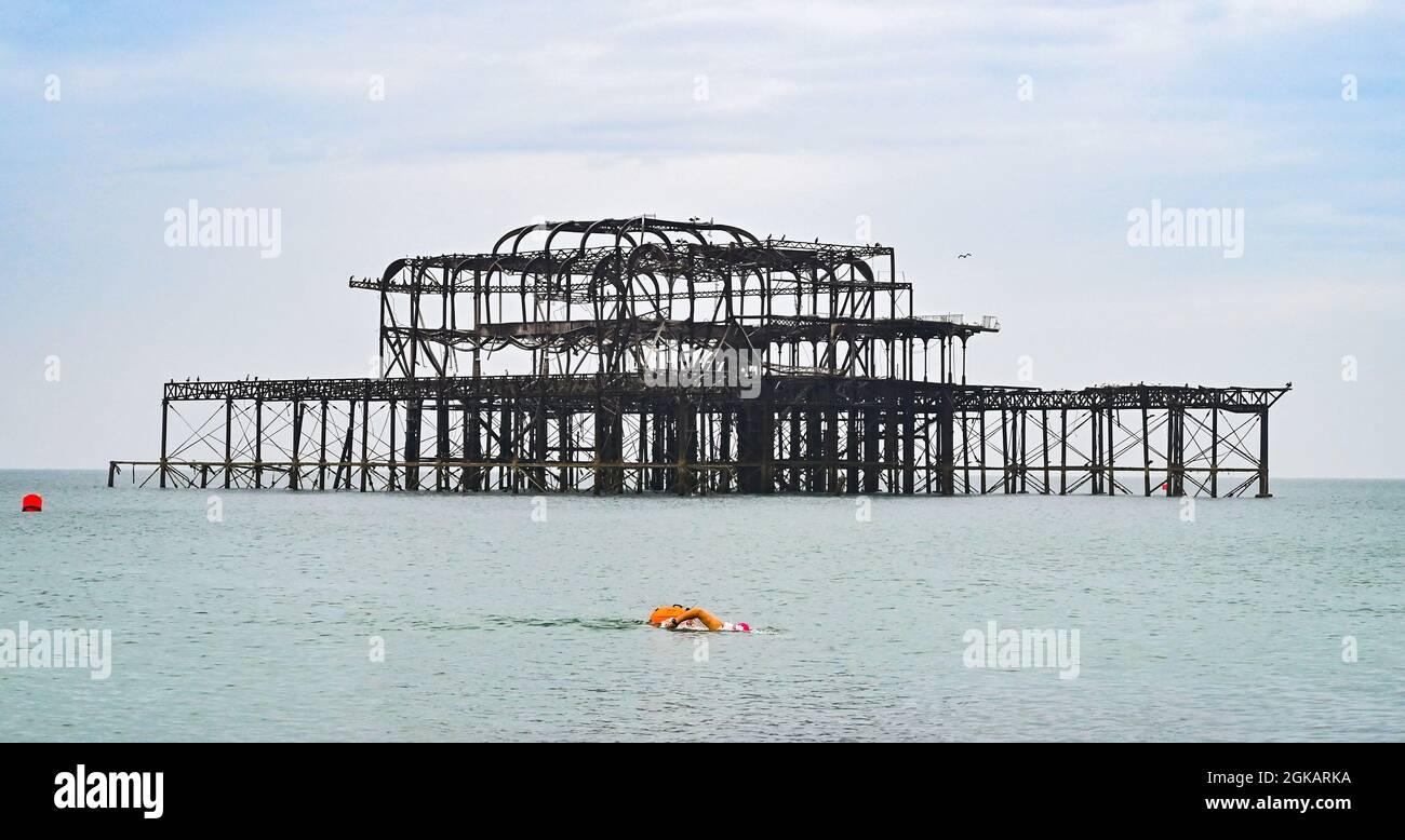 Brighton Royaume-Uni 14 septembre 2021 - un nageur tôt le matin n'est pas mis au loin par la forte pluie à Brighton avec plus d'un mois de précipitations prévues pour certaines parties de la Grande-Bretagne aujourd'hui : crédit Simon Dack / Alay Live News Banque D'Images