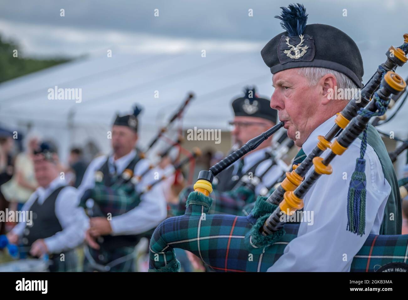 Piper Seaforth Highlanders avec cornemuse. Banque D'Images