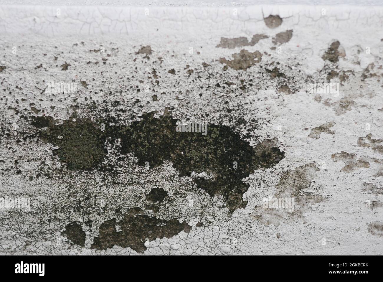 Gros plan de petites fissures sur le vieux mur blanc Banque D'Images