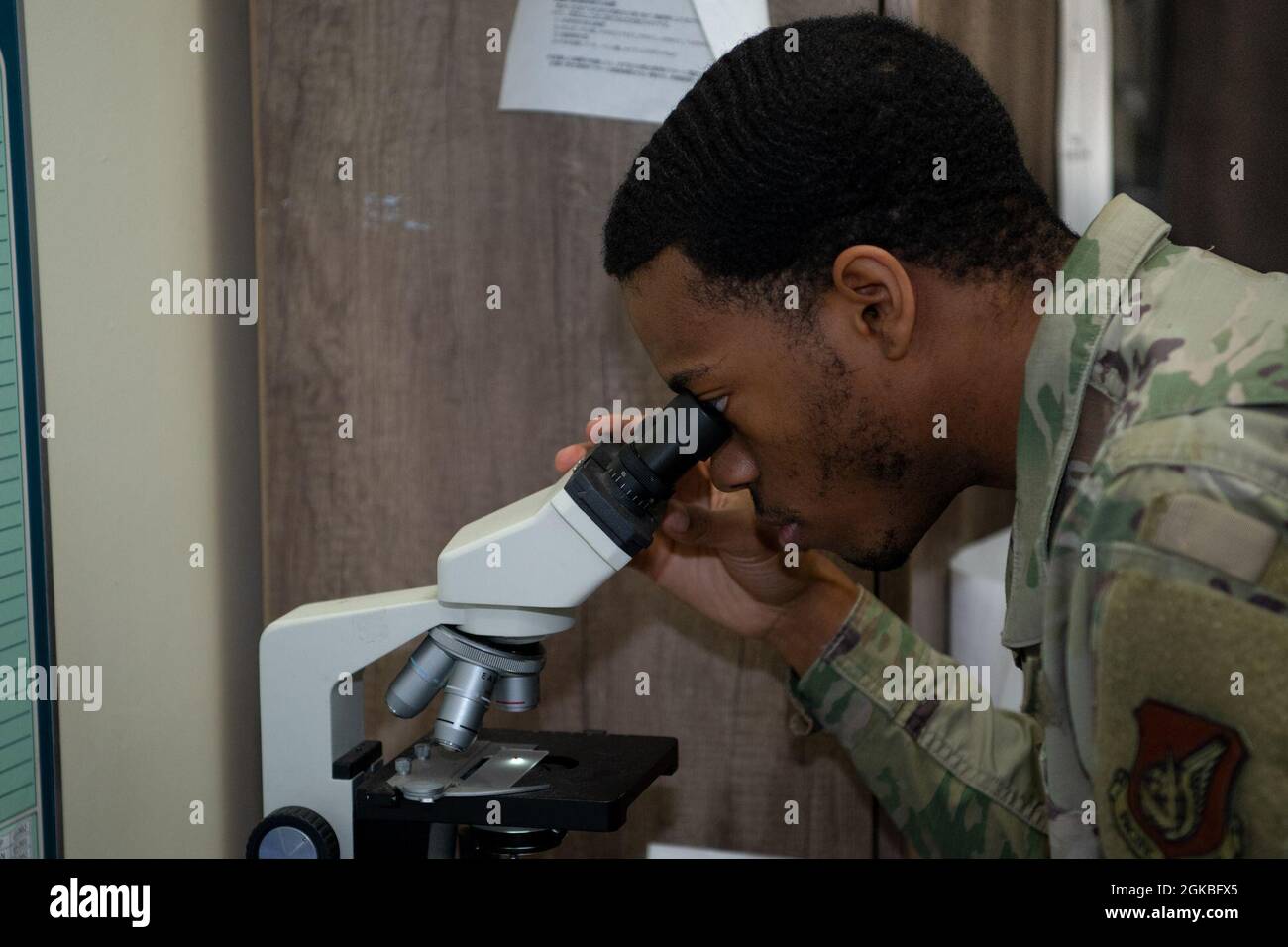 Le principal Airman Trevon Robinson, spécialiste de la lutte antiparasitaire, examine une punaise dans l'édifice de lutte antiparasitaire de la base, le 4 mars 2021, à la base aérienne de Kadena, au Japon. Les techniciens de la lutte antiparasitaire du 18e Escadron du génie civil sont responsables de l'enlèvement, du déplacement et de l'extermination des espèces envahissantes, des ravageurs et des insectes dans toutes les bases d'Okinawa. Banque D'Images