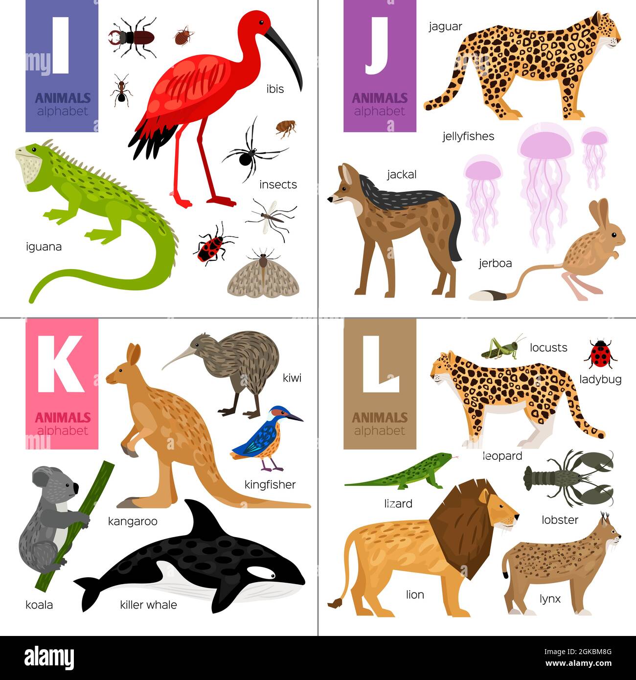 Motif alphabet vectoriel avec animaux mignons Illustration de Vecteur