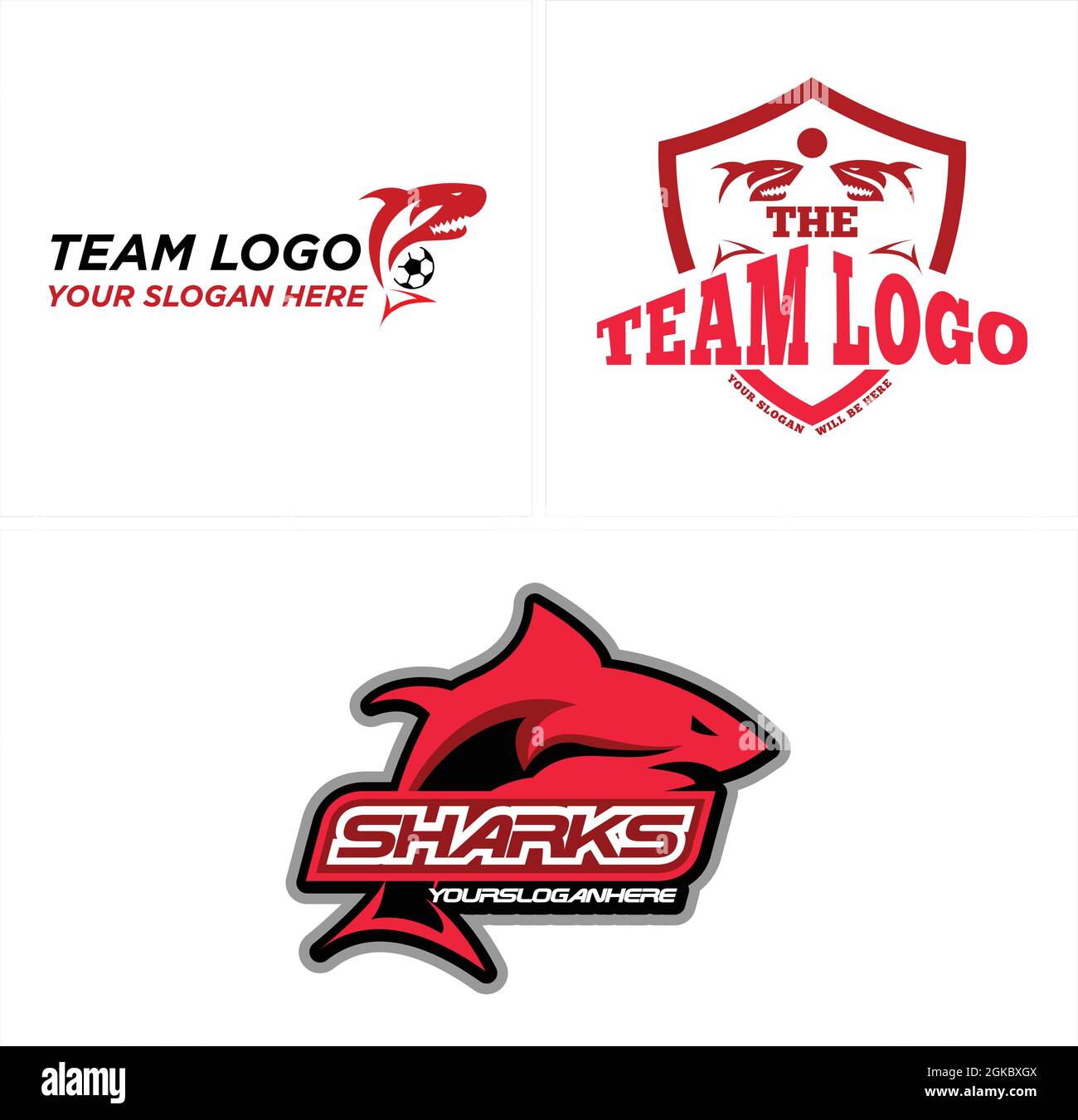 Logo écusson de l'équipe sport Shark Illustration de Vecteur