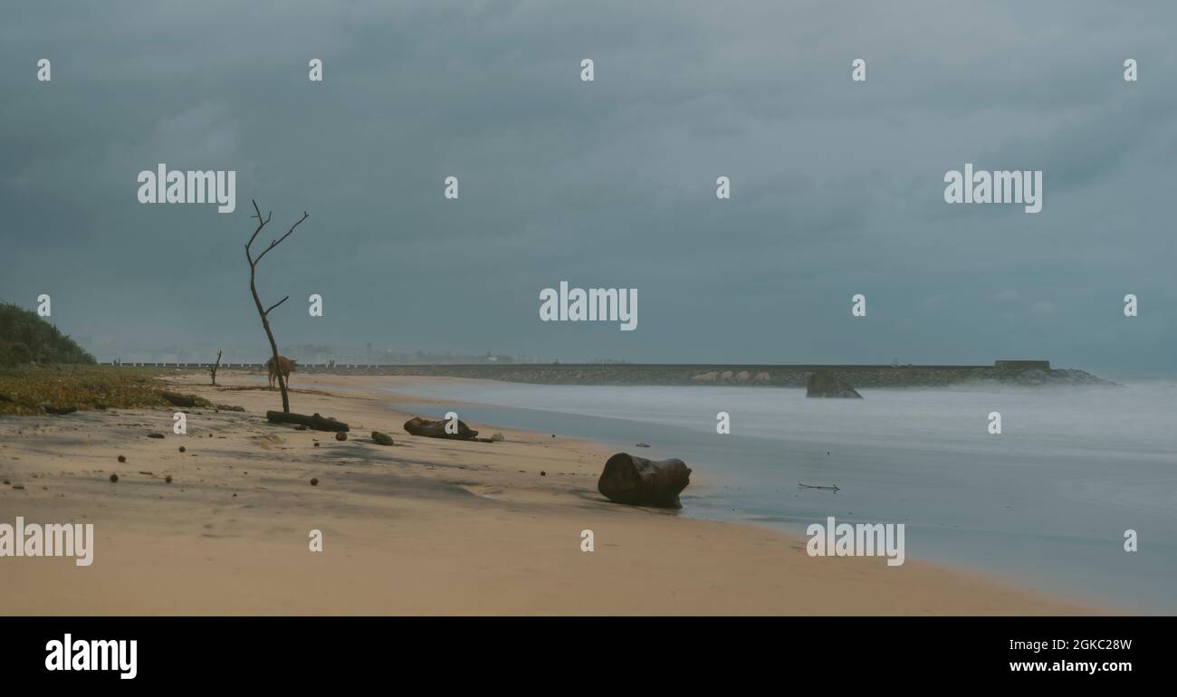 Plage de sable vide dans l'île paradisiaque du Sri Lanka, photographie de longue exposition le soir. Concept de la situation de covid dans les belles plages, Banque D'Images