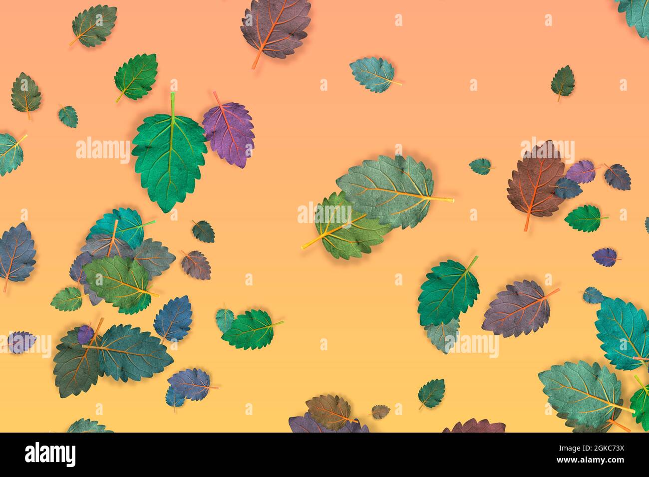 Concept automne-automne de feuilles colorées Banque D'Images