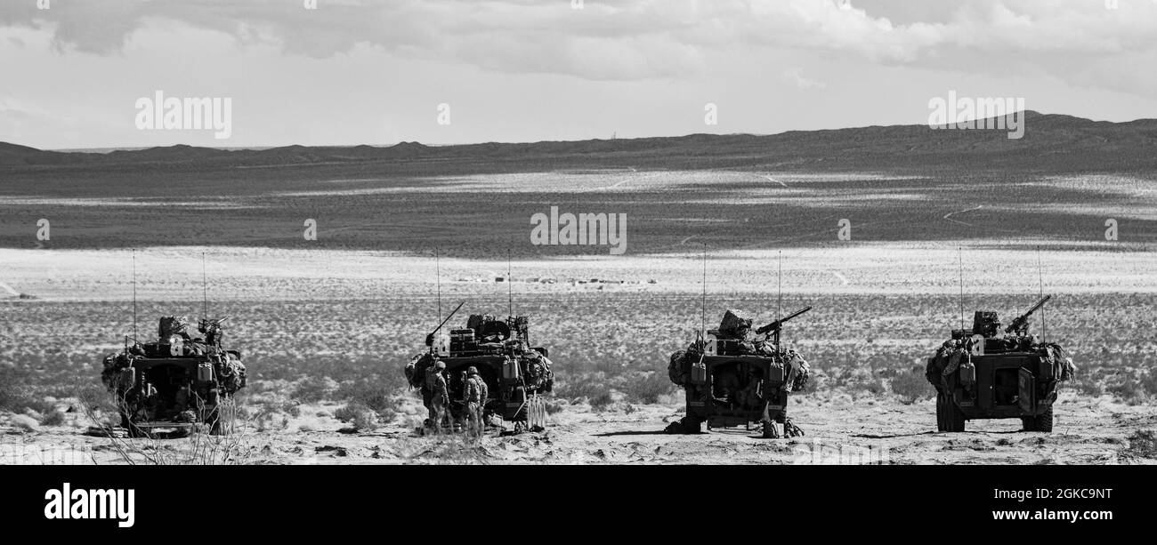 Les soldats de la garde nationale de l'armée de Washington, affectés au 3e Bataillon, 161 Infantry Regiment 'Shark Rifles', 81e équipe de combat de la Brigade Stryker, préparent leurs véhicules Stryker pour une mission de reconnaissance à venir à la base opérationnelle avancée de la zone de soutien logistique Santa Fe, fort Irwin, Californie, le 10 mars 2021. Les soldats du « fusil noir » mènent un exercice d’entraînement sur le terrain d’un mois en préparation de leur déploiement en Pologne au printemps prochain, en soutien à la force multinationale Enhanced Forward Presence. Banque D'Images